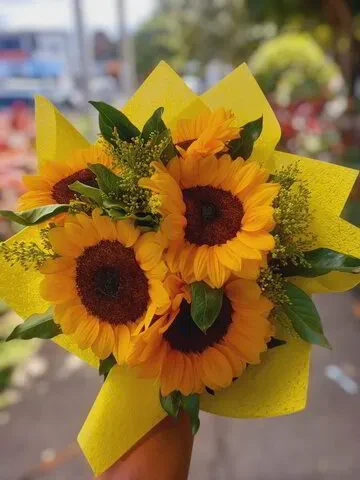 Caricias de Luz
