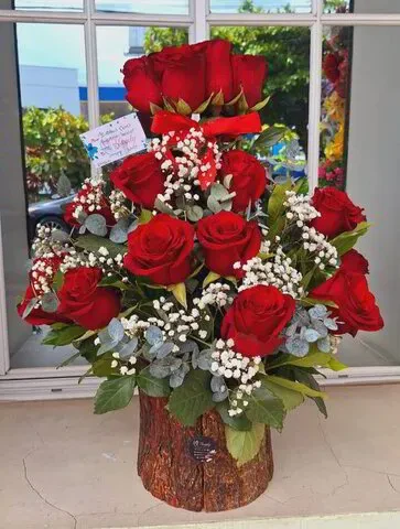 Celebración Radiante