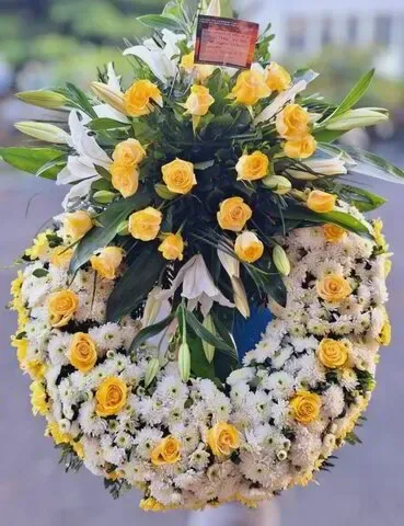 Aliento de Paz